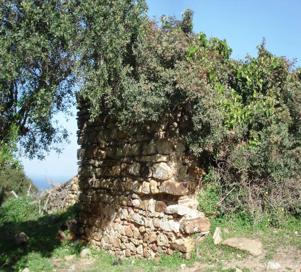 Médina de Tanger